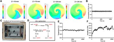 Establishment of the microscope incubation system and its application in evaluating tumor treatment effects through real-time live cellular imaging